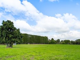 A field with grass and trees at Bayview Cottage - Whakamarama