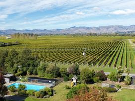 View of a vineyard with a swimming pool and mountains in the background at Vintners - Renwick Holiday Home, Blenheim