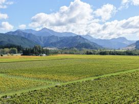A vineyard with mountains in the background at Vintners - Renwick Holiday Home, Blenheim