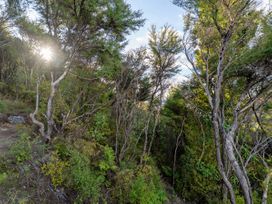 A pathway through trees with sunlight filtering at Little Tui Ridge - Coromandel
