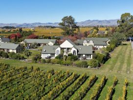 A vineyard and several houses at Vineyard View - Blenheim Holiday Home Blenheim