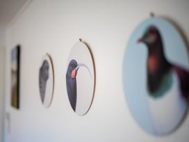 Bird illustrations on a wall at Dragon Fly Cottage - Te Anau Holiday Home Te Anau