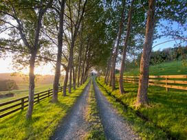 A gravel path lined with trees at Country Idyll II – Sandspit Holiday Cottage, Warkworth