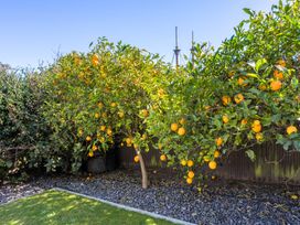 A garden with an orange tree bearing fruit at Ohana - Papamoa Holiday Home, Papamoa