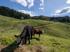 Two cows grazing on grass in a field at The Black Barn - Whakatane Holiday Home, Whakatane