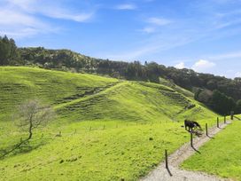 A grassy hill with a cow grazing at The Black Barn - Whakatane Holiday Home Whakatane