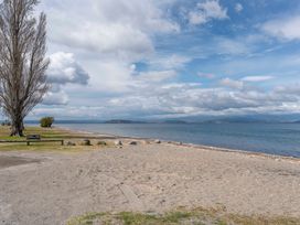 A beach scene with a tree and a bench at Lakeside on Te Waaka - Kuratau Holiday Home, Kuratau
