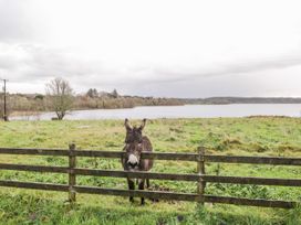 Cloonaquinn - North Ireland - 25928 - thumbnail photo 31