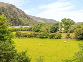 Oak View - County Kerry - 2945 - thumbnail photo 33