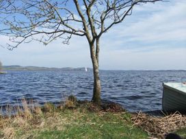 The Humble Daisy - Shancroagh & County Galway - 30577 - thumbnail photo 9