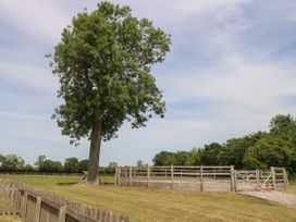Snowy Owl Barn - Norfolk - 913976 - thumbnail photo 19