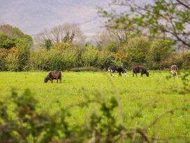 Stephen's Cottage - County Kerry - 914549 - thumbnail photo 46