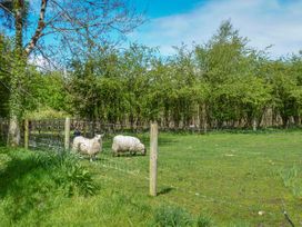 Hawthorn Farm Cottage - County Sligo - 926560 - thumbnail photo 18