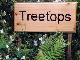 Treetops - Scottish Highlands - 928178 - thumbnail photo 3