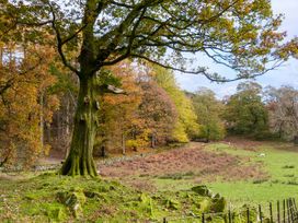 Beech - Woodland Cottages - Lake District - 942520 - thumbnail photo 19