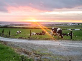 Flynn's Cottage - County Clare - 954385 - thumbnail photo 11