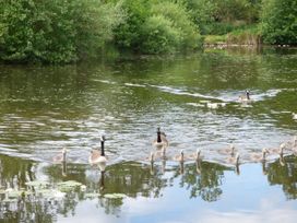 Lakeside Lodge - Norfolk - 963052 - thumbnail photo 14