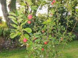 Beehive Cottage - Kinsale & County Cork - 976862 - thumbnail photo 29