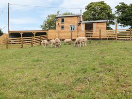 Shepherds Cabin at Titterstone - Shropshire - 981606 - thumbnail photo 1