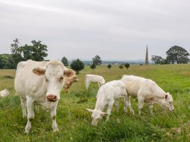 The Milking Barn - Somerset & Wiltshire - 982461 - thumbnail photo 26