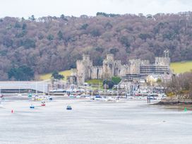 33 Deganwy Castle - North Wales - 985611 - thumbnail photo 19