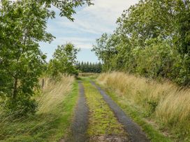 Mc's Cottage - County Sligo - 989958 - thumbnail photo 17