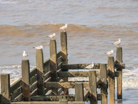 Sea View - Norfolk - 998050 - thumbnail photo 21