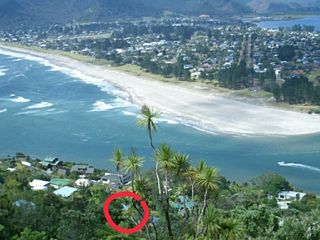 Paku Escape - Tairua Bach photo 1