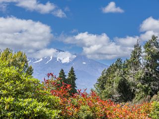 Maungatapu Studio 2 - Ohakune Holiday Home photo 1
