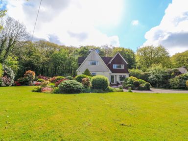 A house with a large lawn and various shrubs and trees at Trevow in Camborne