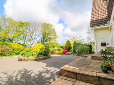 A garden with bushes and flowers next to a paved driveway at Trevow in Camborne
