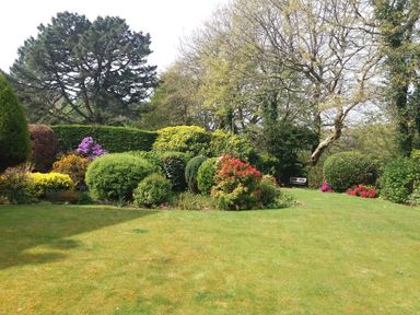 A garden with grass lawn shrubs trees and a bench at Trevow in Camborne