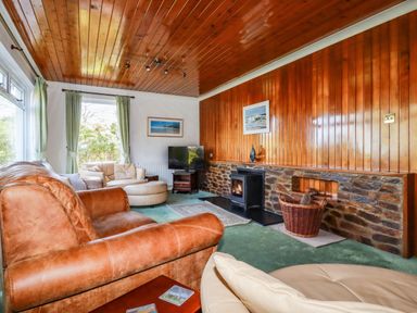 A living room with leather and fabric sofas a television fireplace and wood paneling at Trevow in Camborne