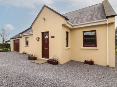 A yellow house with a dark brown door and windows with flower pots on a gravel driveway at Silver Birch in Dromelihy Cooraclare County Clare