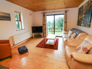 A living room with leather sofas a wooden coffee table a red rug a TV on a stand and sliding glass doors at Silver Birch in Dromelihy Cooraclare County Clare