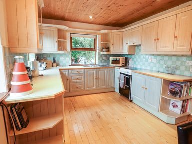 A kitchen with wooden cabinets a stove microwave and a window showing trees at Silver Birch in Dromelihy Cooraclare County Clare