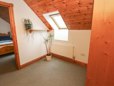 A small room with a slanted wooden ceiling a skylight window a radiator a potted plant and a hanging plant with a doorway to a bedroom at Silver Birch in Dromelihy Cooraclare County Clare