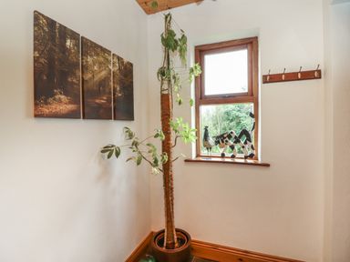 A corner with a tall potted plant a window with two animal figurines on the sill and a three-panel wall art of a forest at Silver Birch in Dromelihy Cooraclare County Clare
