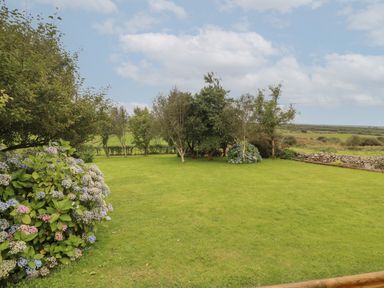 A garden with grass trees and flowering bushes at Silver Birch Dromelihy Cooraclare County Clare