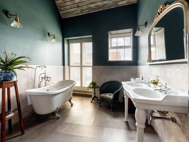 A bathroom with a clawfoot bathtub, double sink, chair, and plants at Sykes Lodge in Malton