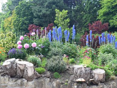 A garden bed with tree stumps and colorful flowers surrounded by green trees at Sykes Lodge in Malton