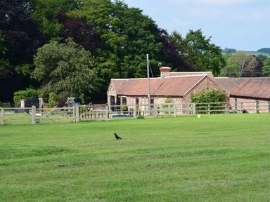 A fenced grassy field with a bird and a brick building with a tiled roof surrounded by trees at Sykes Lodge in Malton
