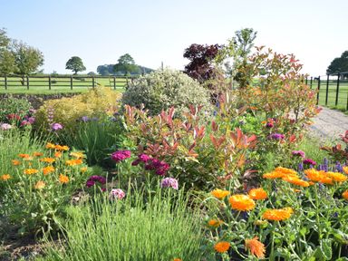 A garden with various flowering plants and shrubs near a fence in a rural area at Sykes Lodge in Malton