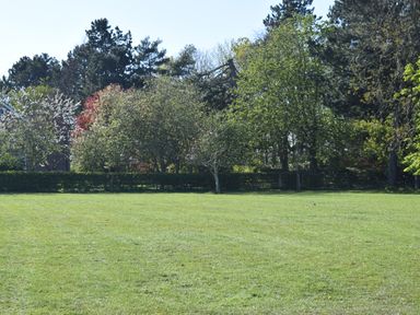 A grassy field with trees and bushes in the background at Sykes Lodge in Malton