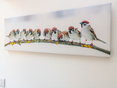A wall painting of nine sparrows sitting on a branch at Sparrow Barn in Reepham