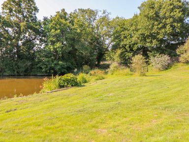 A grassy area next to a pond with trees and shrubs at Sparrow Barn in Reepham