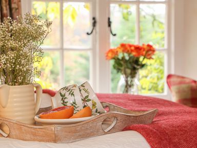 A wooden tray with a pitcher of flowers cups and grapefruit on a bed with a red blanket at Rookwood in Drewsteignton