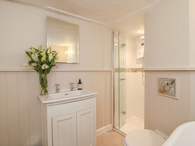 A bathroom with a sink cabinet mirror flowers in a vase a shower enclosure and a toilet at Rookwood in Drewsteignton