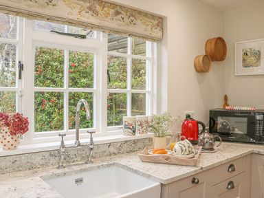 A kitchen countertop with a sink kettle microwave and tray with cups and flowers at Rookwood in Drewsteignton