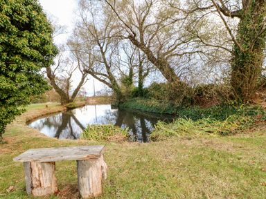 A wooden bench on grass near a pond with trees and bushes at Daffodil Lodge in Saltburn-by-the-Sea